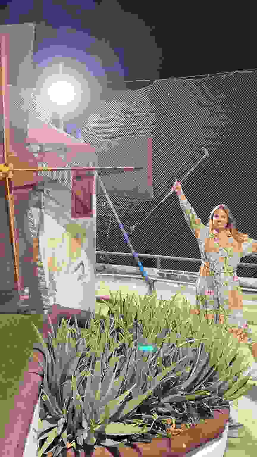 PHOTO 2021 11 12 15 39 17 PHOTO 2021 11 12 15 39 17