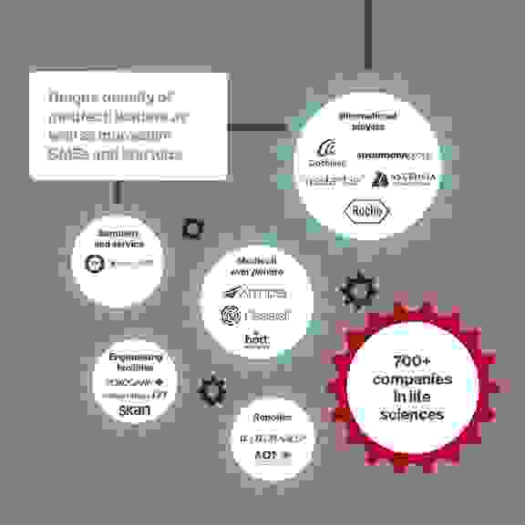 Basel Area Infografik Basel Area Infografik