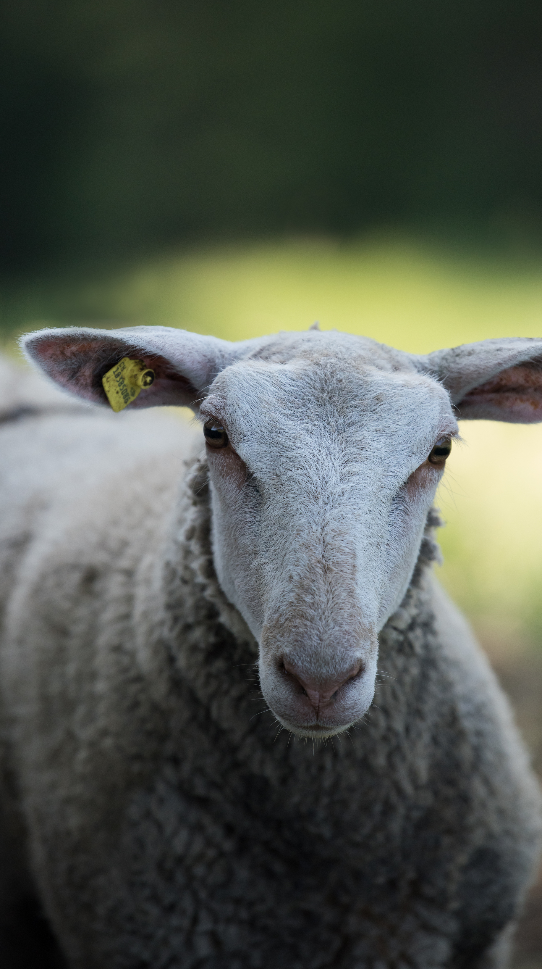 FE Website Biomilk Bilder Finalweb4