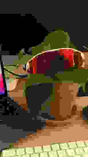 PHOTO 2021 01 22 18 31 38 PHOTO 2021 01 22 18 31 38