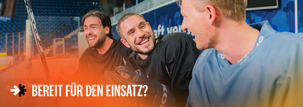 P250209 Kantonspolizei Job Plattform 572X203px X2 RZ Teamgeist