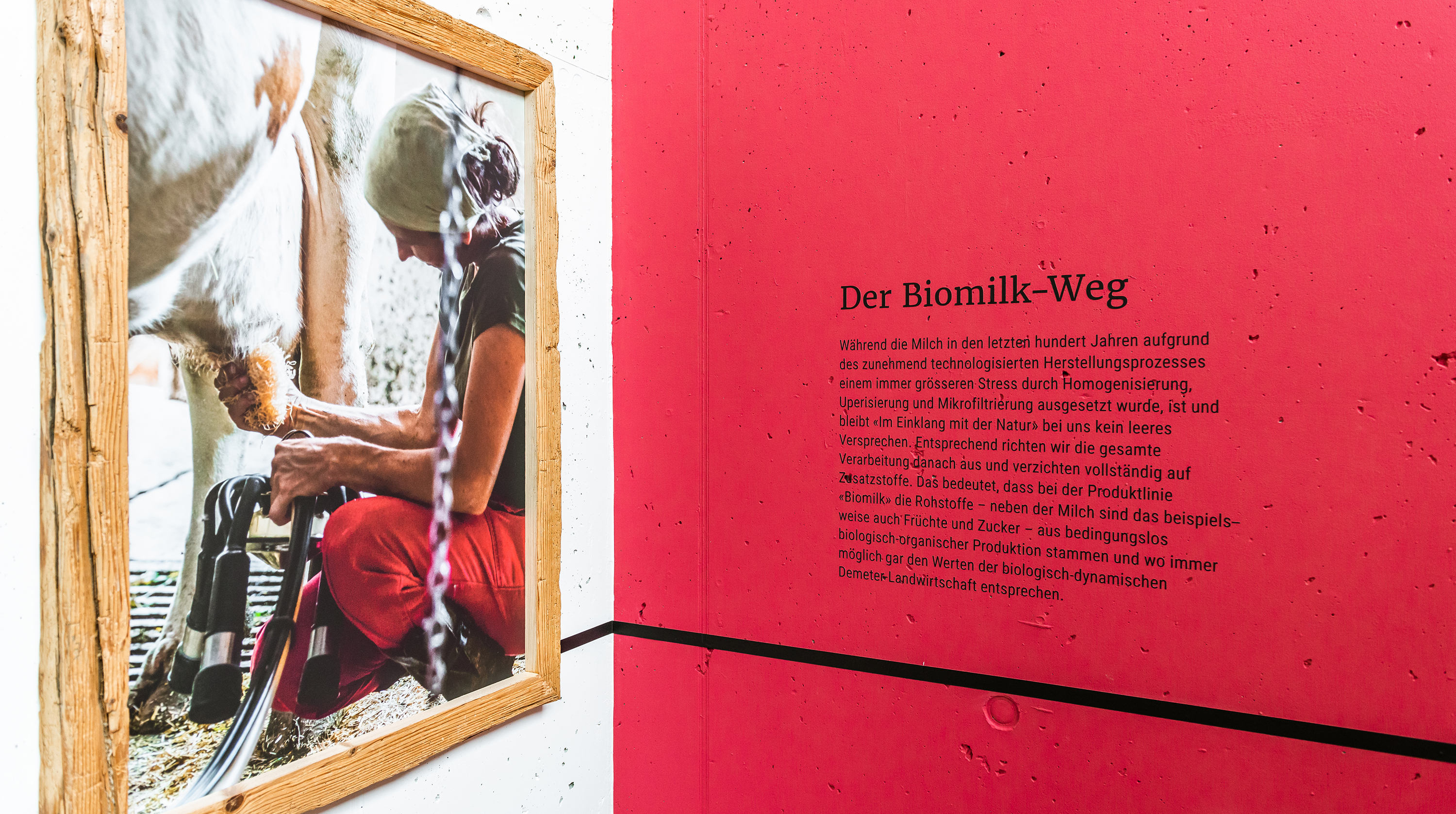 FE Website Biomilk Bilder Finalweb5