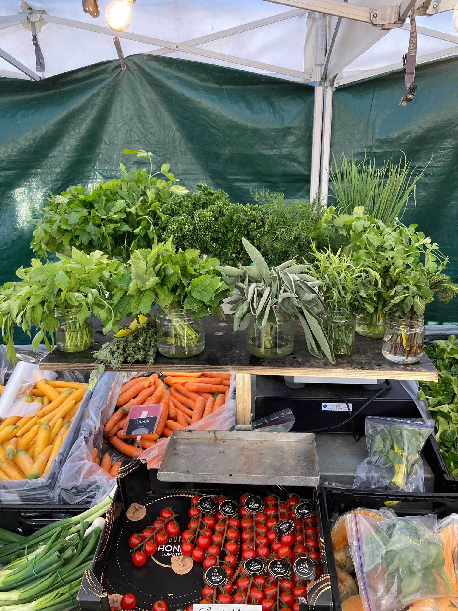 Db6f0b81 F3fe 4E3a 994A 9Ba4d503a9f1