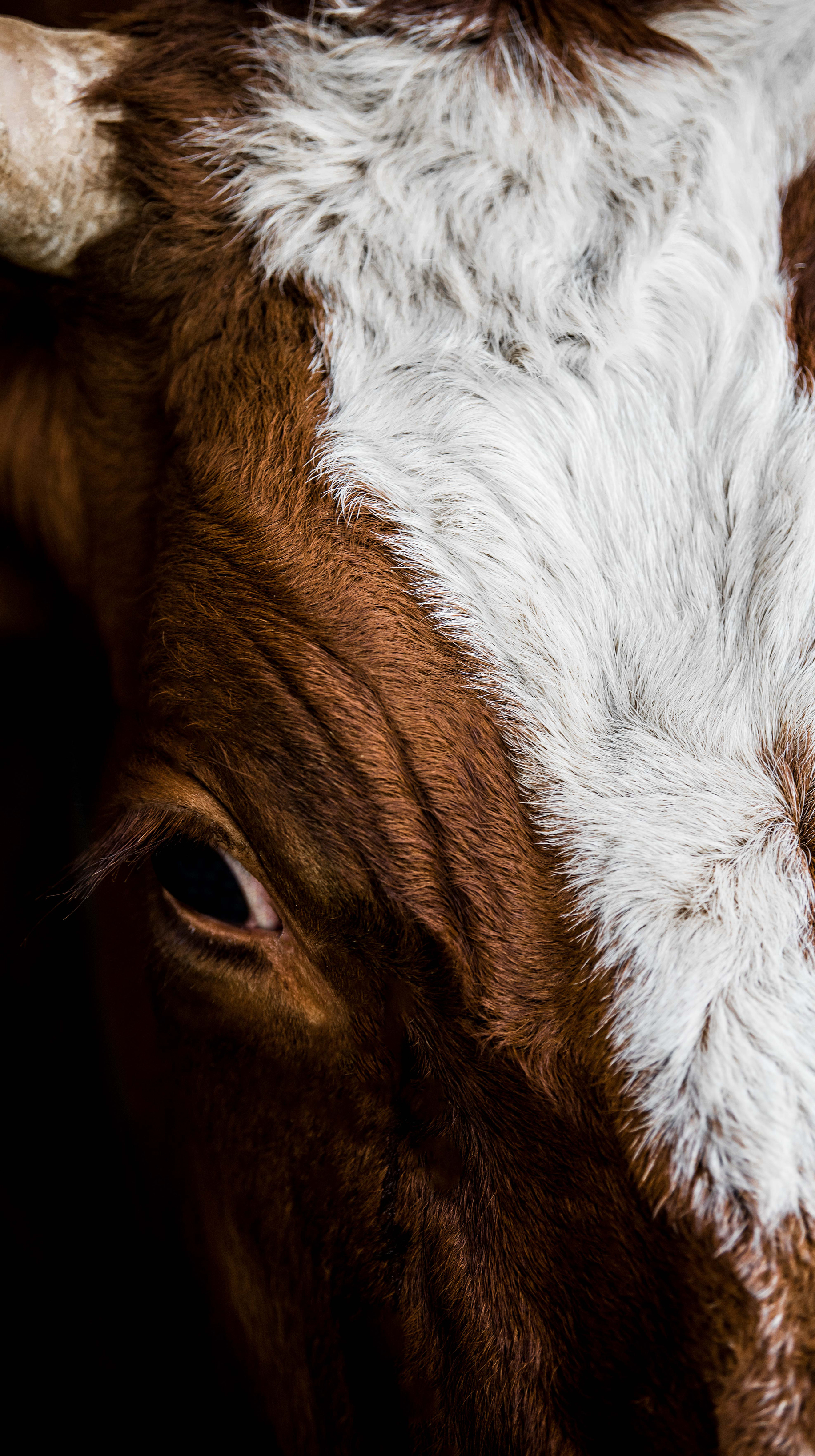 FE Website Biomilk Bilder Finalweb2