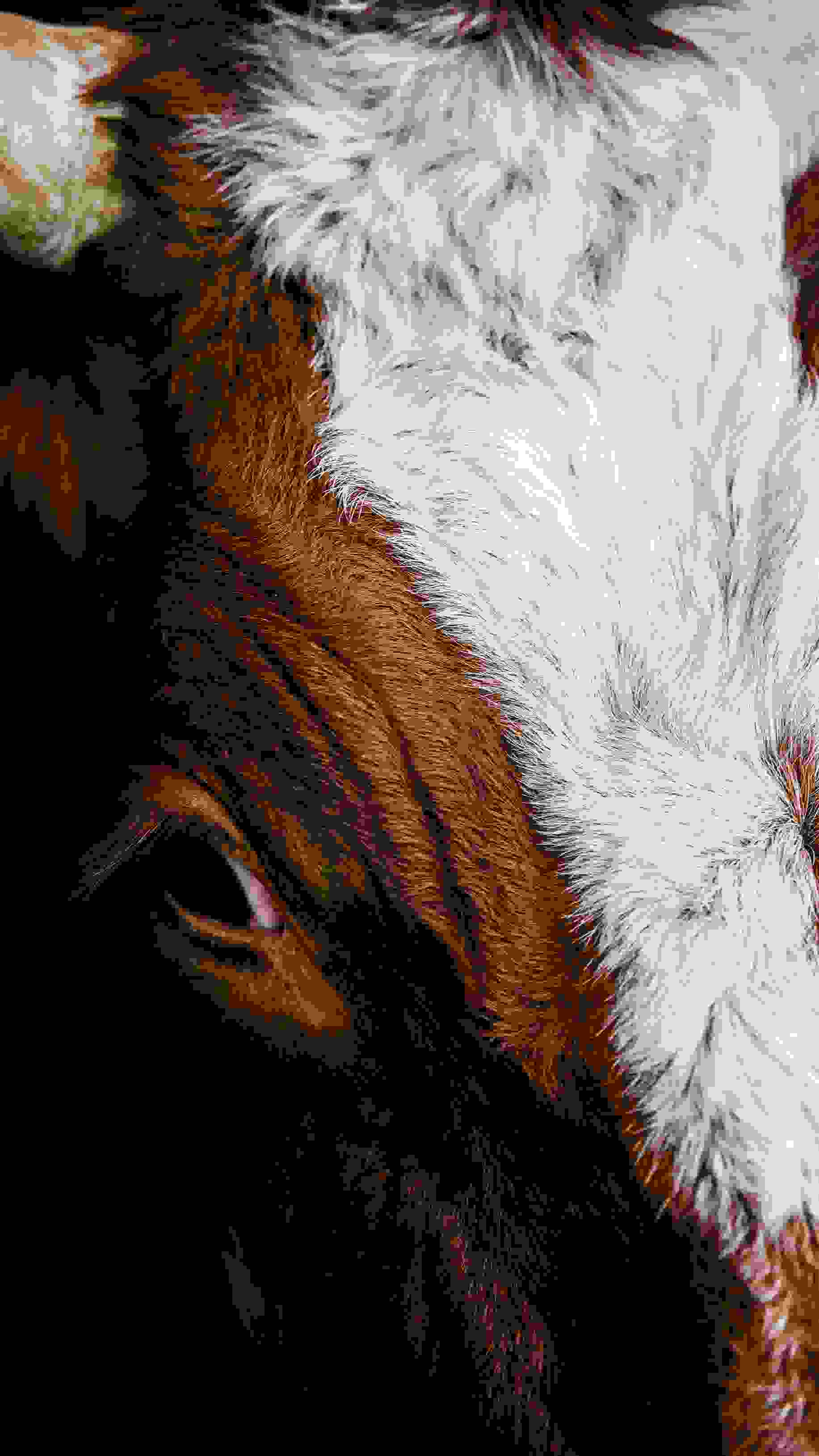 FE Website Biomilk Bilder Finalweb2 FE Website Biomilk Bilder Finalweb2